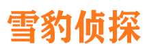 武陵寻人公司